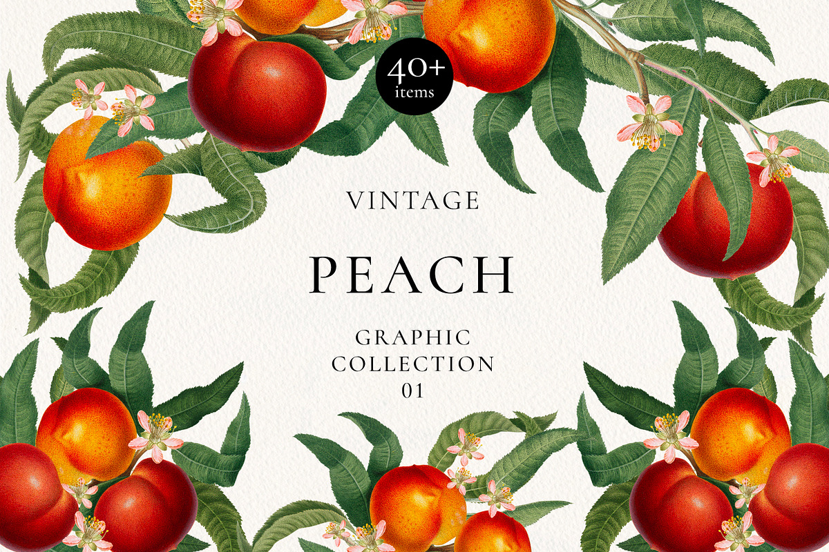 Vintage Peach Graphic Collection #01, a Decorative Illustration by Olga Begak Art & Design (Photo 1 of 9)