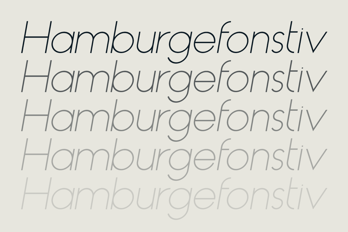 HAUS Sans Light preview 3