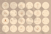 Zodiac Signs Horoscope Illustrations, a Graphic by Olya Creative (Thumbnail 15 of 37)
