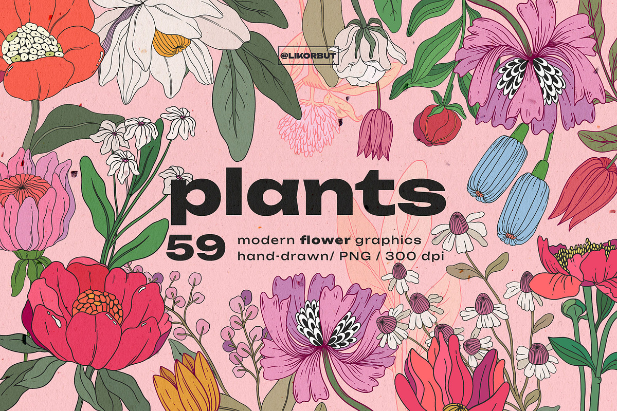 Botanical Modern Floral Illustration, a Decorative Illustration by likorbut (Photo 1 of 6)