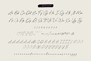De Lionist - Handwritten Script Font, a Handwritten Font by Myn Type (Thumbnail 15 of 15)
