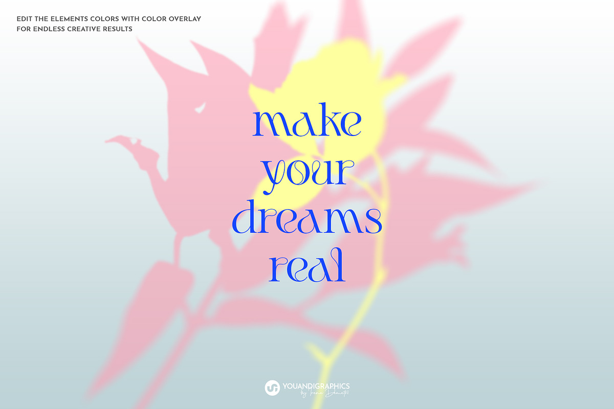 Floral Shadows Overlays, a Graphic by Youandigraphics (Photo 5 of 14)