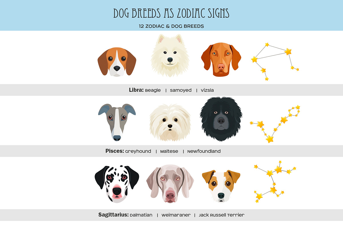Zodiac signs and dog breeds clipart, an Animal Illustration by Art and Funny (Photo 4 of 10)
