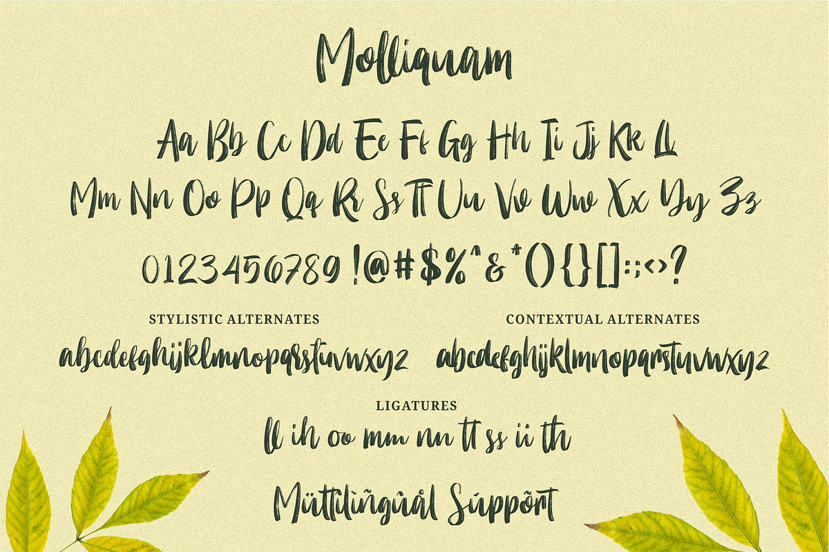 Molliquam - Handwritten Font, a Script Font by Garisman Std (Photo 7 of 8)