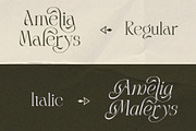 LT Rogile - Modern Serif Typeface, a Serif Font by Luminotype (Thumbnail 4 of 20)