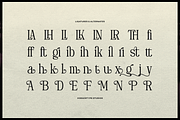 Deiloya | Classic Serif Typeface, a Serif Font by gracetype_studio (Thumbnail 12 of 12)
