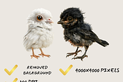 UGLY CUTIES BABY EDITION, an Animal Illustration by Daring Digies (Thumbnail 6 of 10)