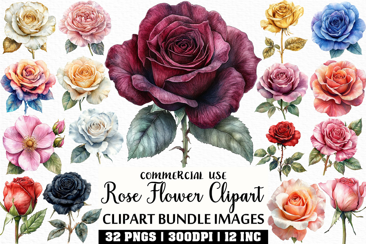 Rose Flower Clipart Bundle, an Illustration by Craft Nest (Photo 1 of 6)
