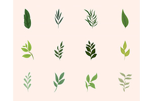 nature leaves and branches, an Illustration by studiogstock