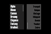 Maximalis, a Sans Serif Font by Say Studio (Thumbnail 6 of 13)