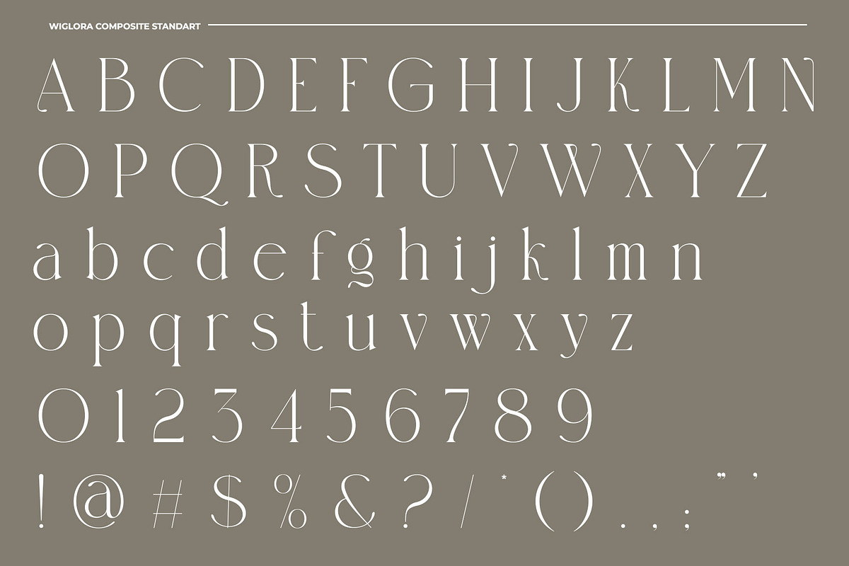 Wiglora Modern Ligature Serif, a Serif Font by Alfinart (Photo 9 of 10)