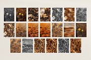 Harvest Rituals | Autumn Images, a Background Photo by bron.alexander (Thumbnail 10 of 12)