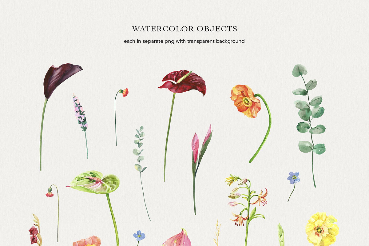 Secret Garden watercolor, a Decorative Illustration by Volha Studio (Photo 7 of 11)