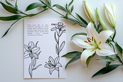 Lilies Stamps Procreate Bundle, a Brush Add-On by Dervik Art Store (Thumbnail 6 of 6)