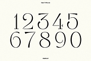 TAN - PARFAIT, a Serif Font by TanType (Thumbnail 18 of 21)