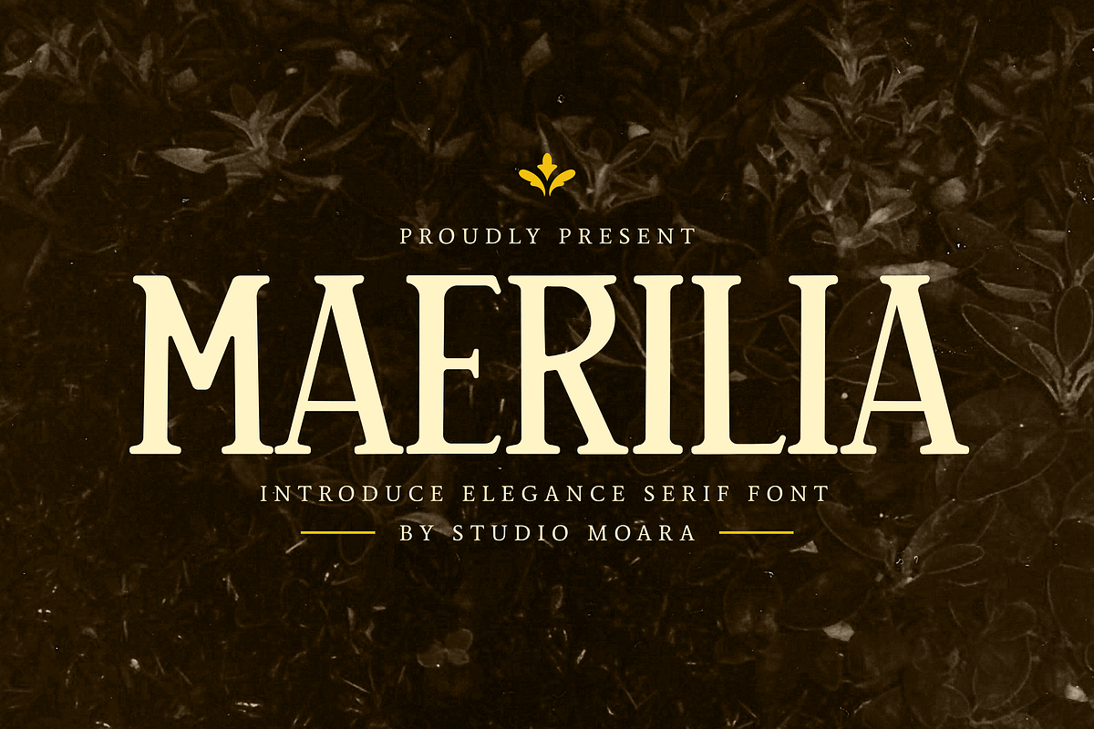 Maerilia – Vintage Serif Font, a Serif Font by Studio Moara (Photo 1 of 8)