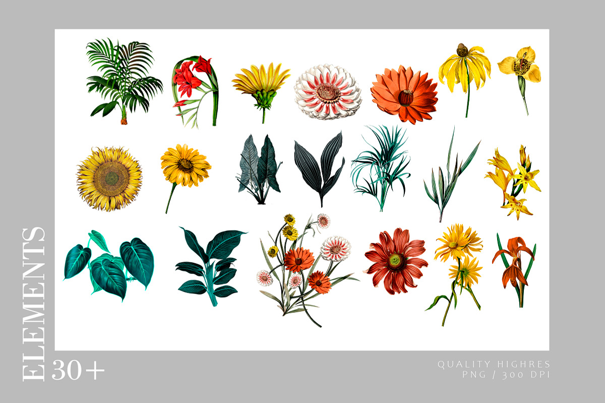 Sunflower Pattern denim, a Wallpaper Graphic by Luiz da Rolt Grathwohl (Photo 4 of 10)