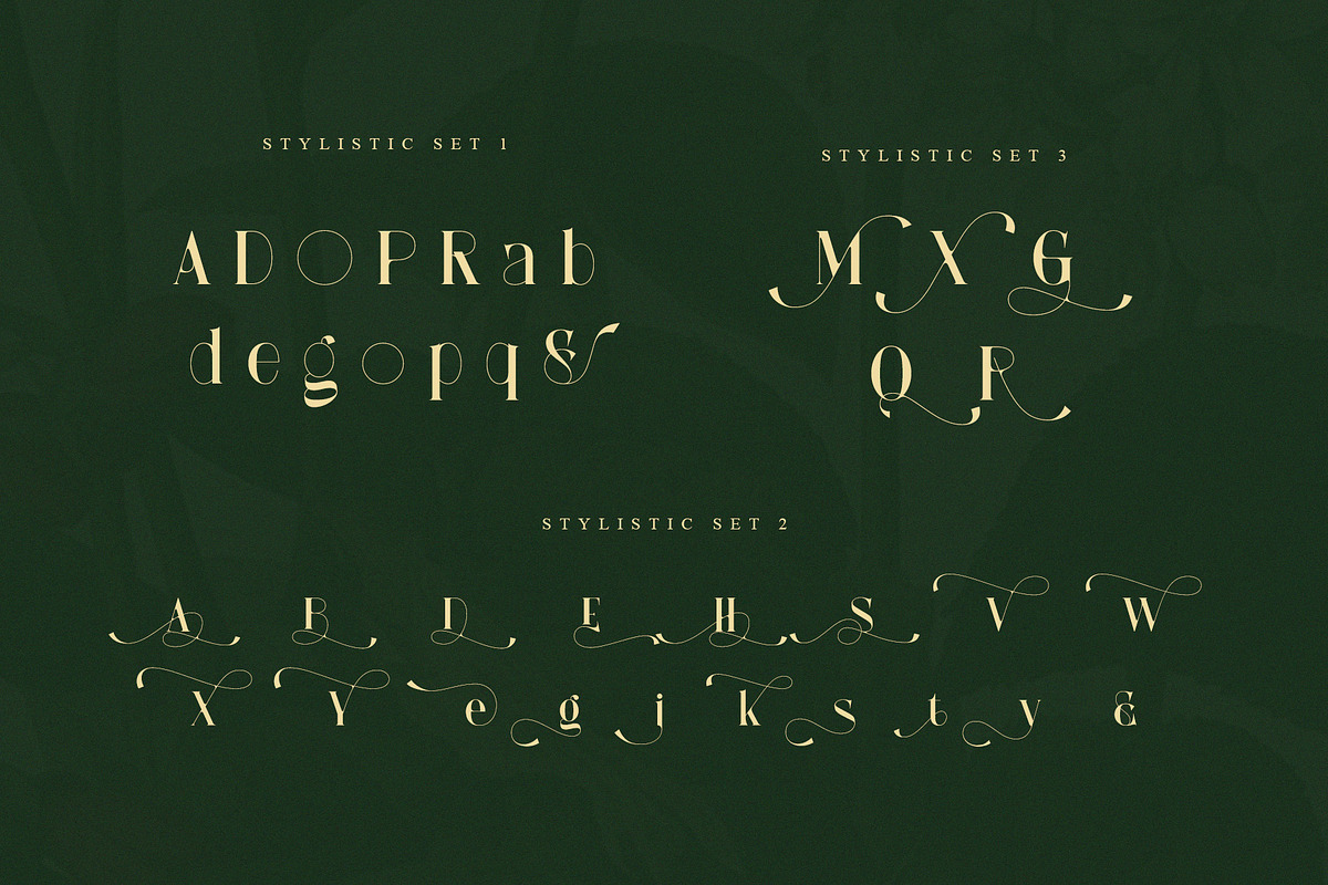 Anzelie – Elegant Stylish Serif, a Serif Font by Almeera Std (Photo 9 of 10)