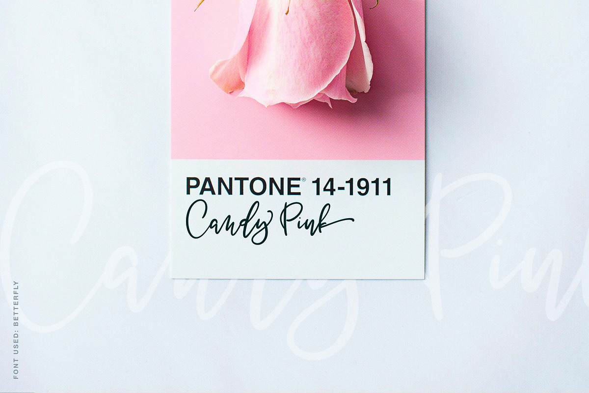 BetterFly - for Canva & Templett, a Script Font by Blessed Print (Photo 30 of 46)