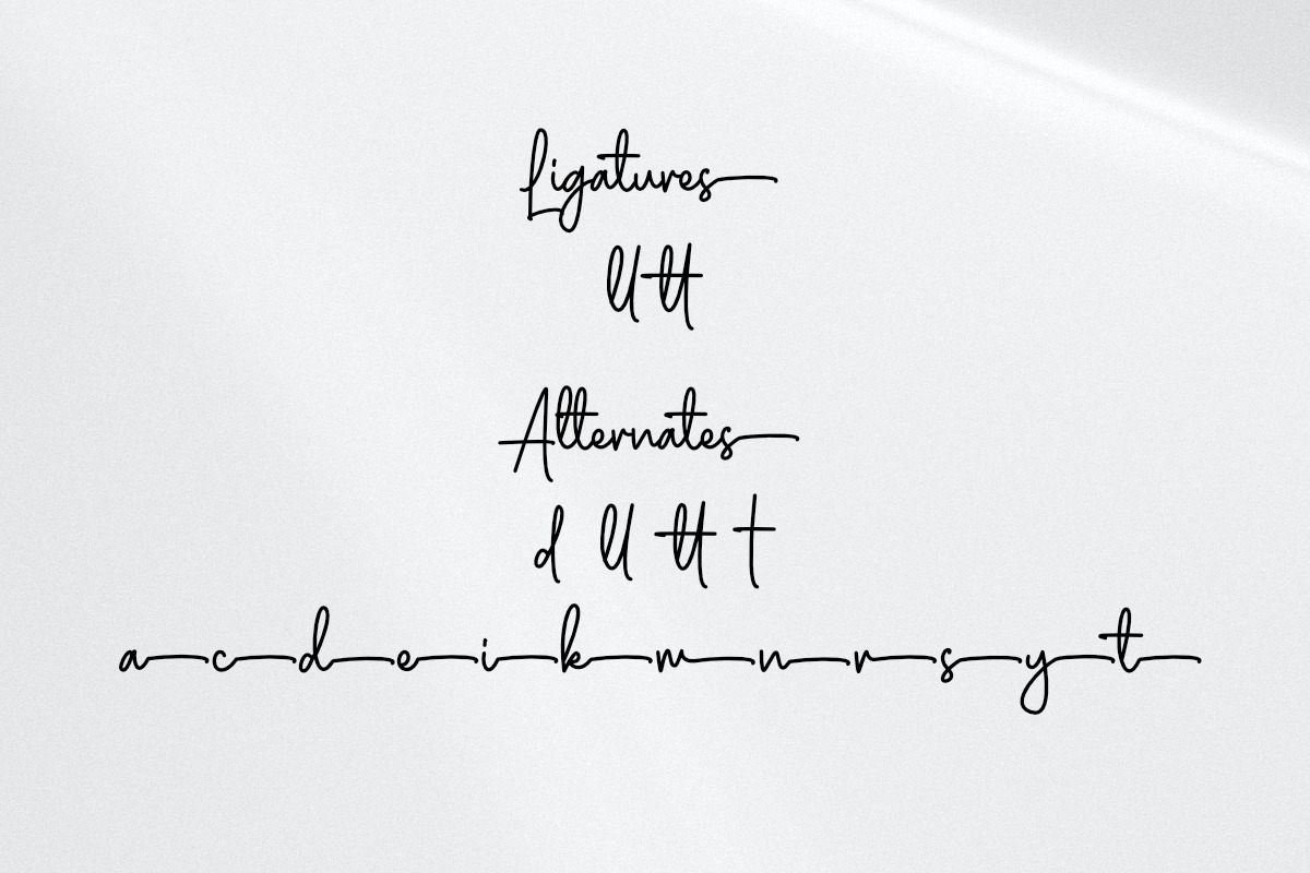 Monoline | Signature Handwriting, a Handwritten Font by Fontlicious (Photo 8 of 8)