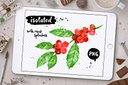 Coffee Growth Watercolor Collection, an Object Graphic by Sonya Illustrations (Thumbnail 2 of 4)