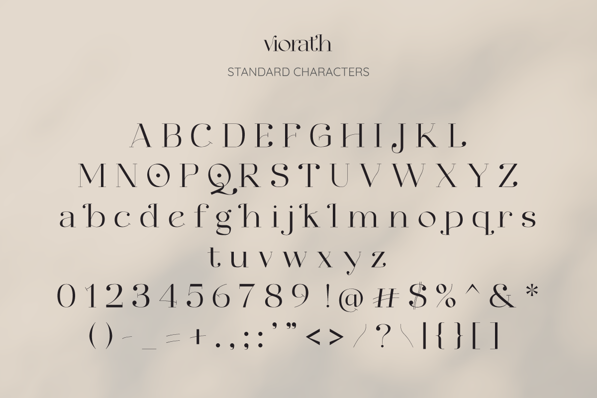 Viorath Modern Serif Font, a Serif Font by Inkofert (Photo 12 of 12)