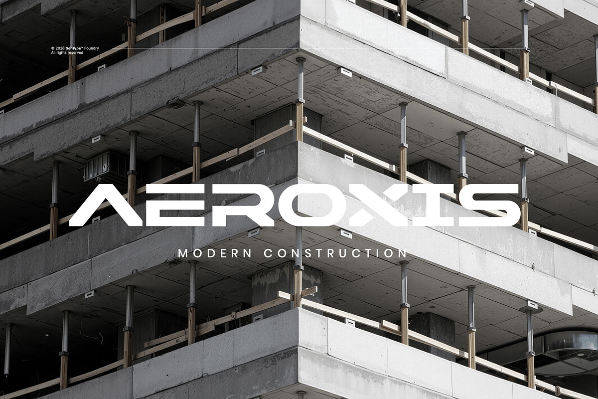 REINBA Extended Sans Serif Font, a Sans Serif Font by sentype (Photo 4 of 7)