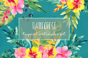 Rainforest
