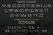 Summersalt, a Sans Serif Font by FreshTypeINK (Thumbnail 3 of 8)
