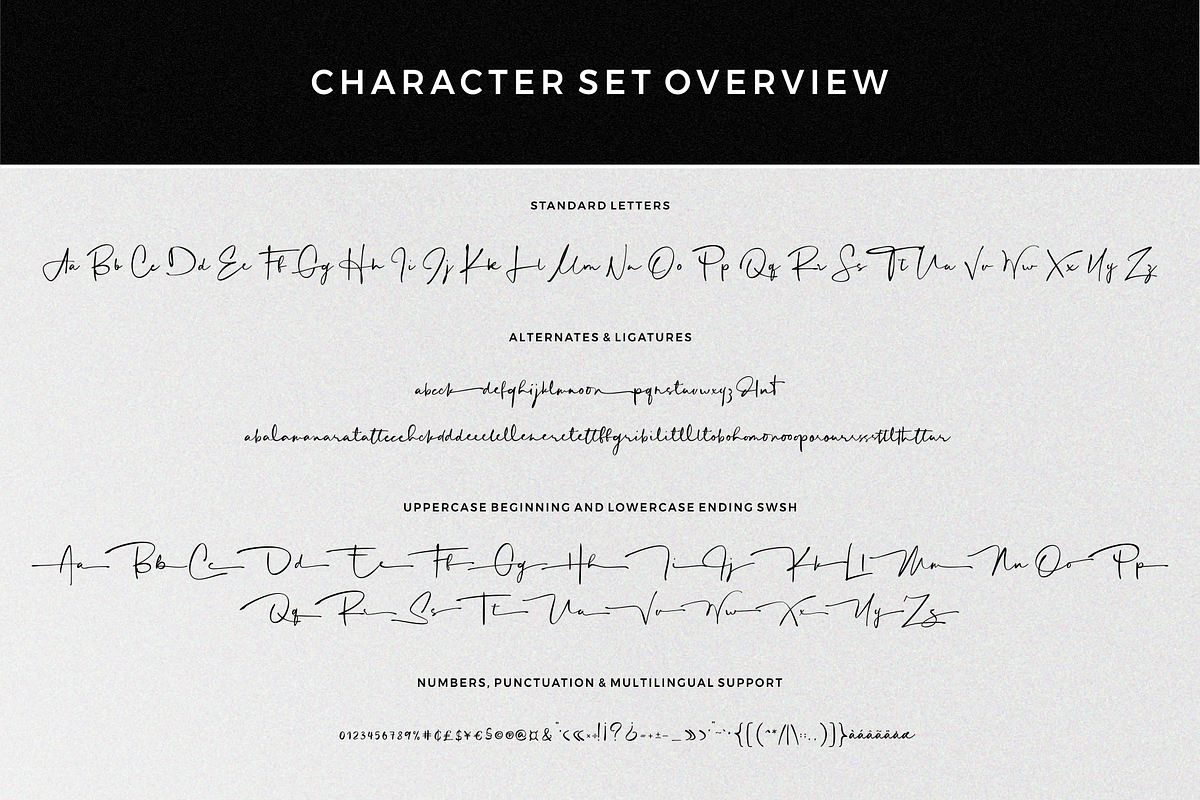 Mortdecai – Luxury Signature Font, a Script Font by RedyStudio (Photo 13 of 14)