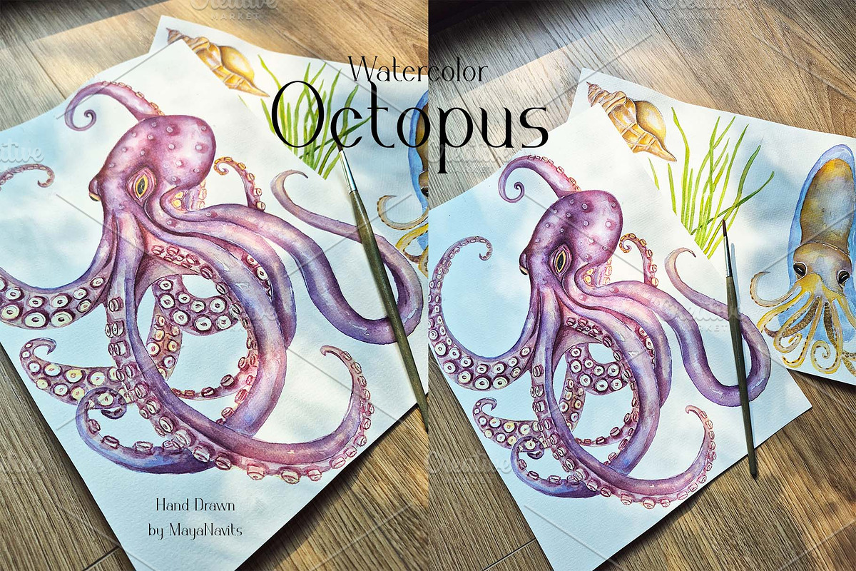 Watercolor Octopus Life Cycle Set, an Education Illustration by MayaNavits (Photo 7 of 7)