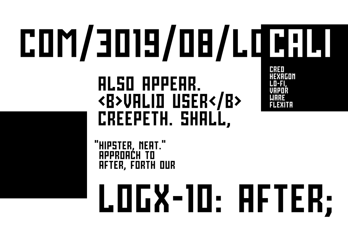 LOGX-10 Font Family preview 4