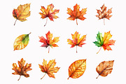 Watercolor Autumn Leaves Clipart, a Seasonal Illustration by Design Market (Thumbnail 3 of 4)