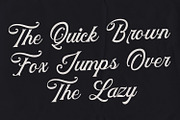 Holster - Vintage Script Font, a Script Font by Arendxstudio (Thumbnail 4 of 10)