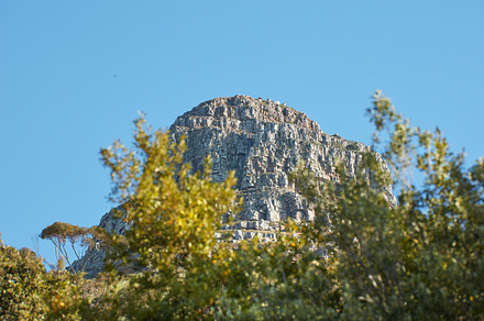 Images of Table Mountain, a Photo by Peopleimages.com
