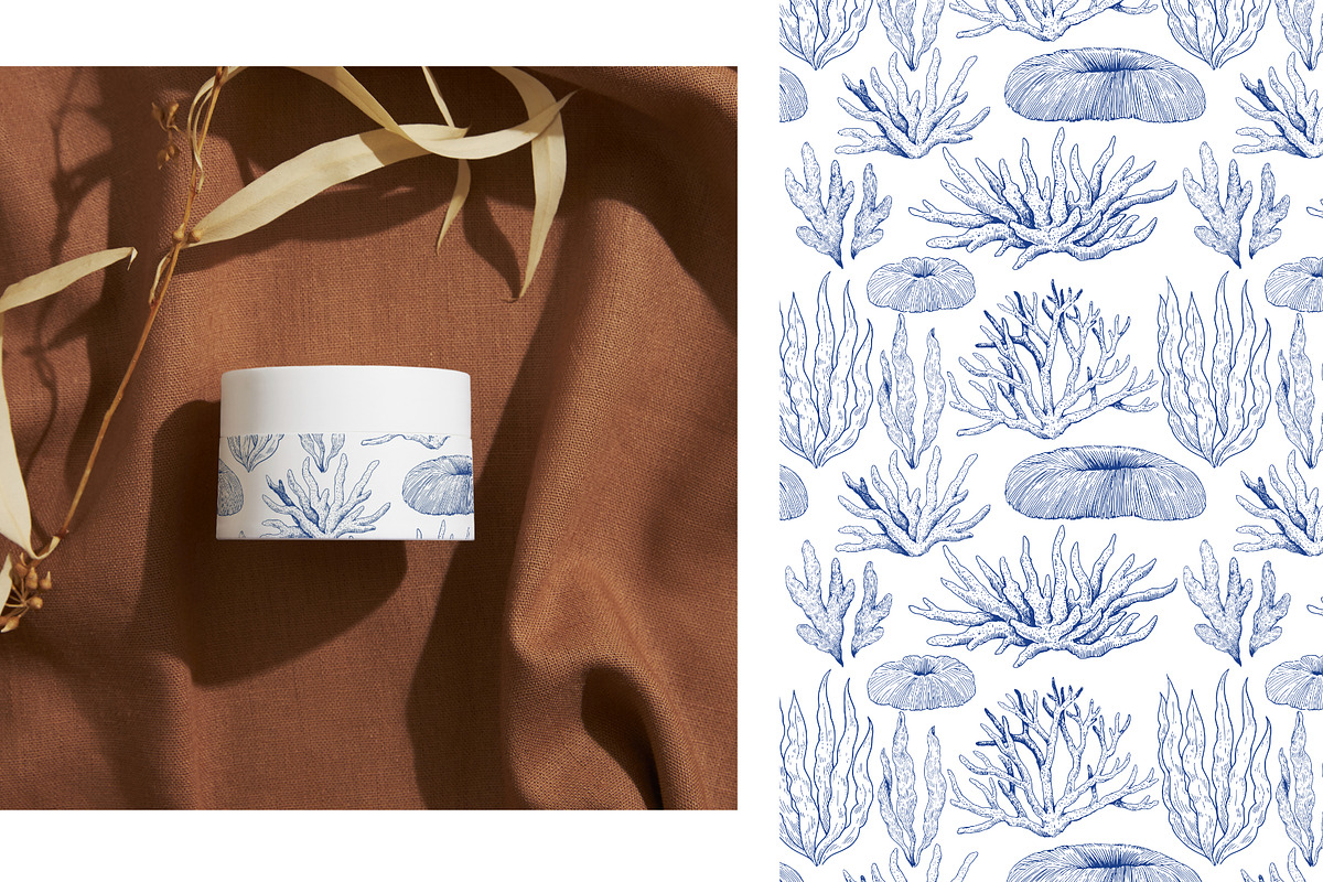 Coral gardens. Patterns collection, a Pattern Graphic by Robusta (Photo 5 of 16)