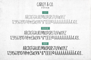 Skinny Font Family Carley & Co.