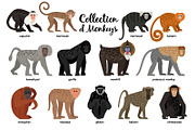 Big Set of Animals, an Object Graphic by ianakauri (Thumbnail 9 of 12)