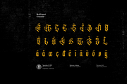 Acinonyx Jubatus, a Blackletter Font by ilhamtaro (Thumbnail 10 of 10)