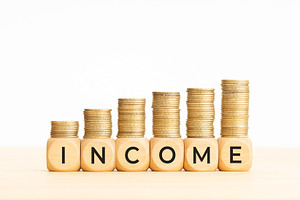 Income concept