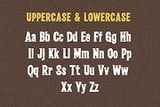 Quick Tail Display - Bold Retro, a Serif Font by Muflieart (Thumbnail 6 of 8)