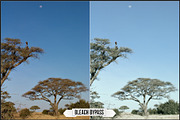 Ricoh Image Controls & Creative Mode, a Plug-in Add-On by Raztrend (Thumbnail 6 of 31)
