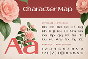 Cantilos, a Serif Font by Artisan Themes (Thumbnail 2 of 11)