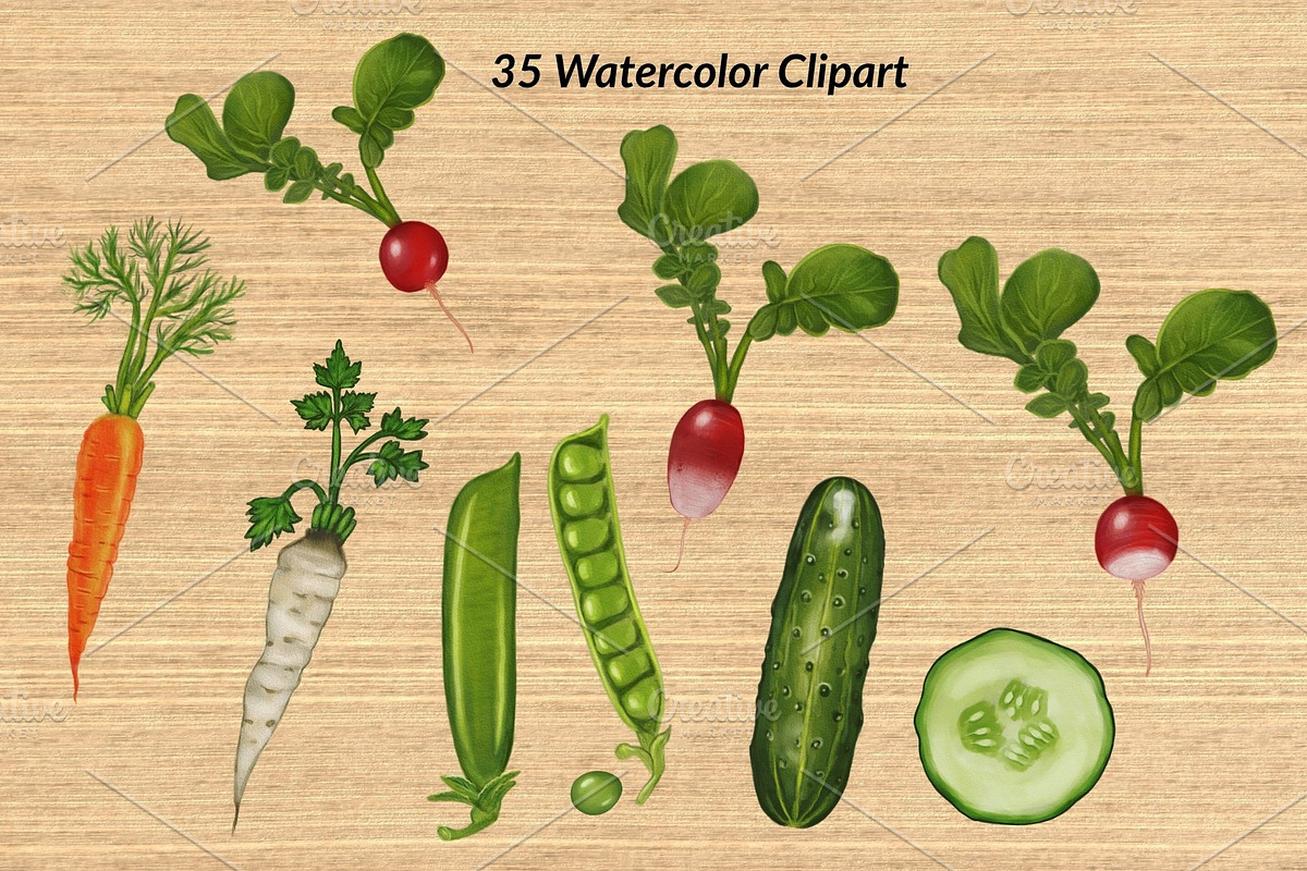 Watercolor Vegetables, a Food Illustration by Elatedowl (Photo 6 of 17)