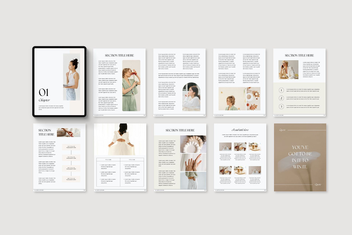 LUCID Coach Workbook Template CANVA, a Print Template by BoldNStudio (Photo 5 of 10)