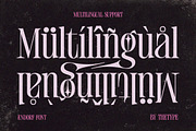 ENDORF | FONT, a Serif Font by The_Type (Thumbnail 8 of 12)