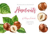Hazelnuts Watercolor Set, a Food Illustration by Akvarelldesign (Thumbnail 1 of 3)
