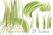 Grape Hyacinths_Blue Spring, an Illustration by watercolorwild.graphics (Thumbnail 6 of 8)