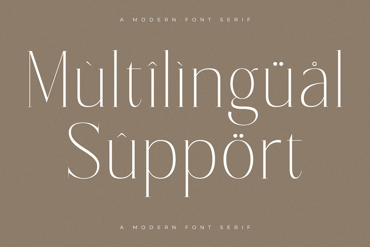 Lisandra A Modern Font Serif, a Serif Font by Storytype Studio (Photo 12 of 15)