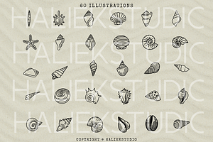 Seashell Procreate Stamp Brush Set